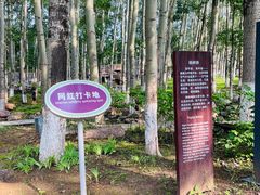 -北京中信金陵酒店