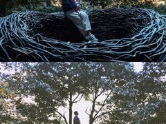 -龙湾潭国家森林公园