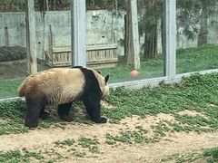 -西安秦岭野生动物园