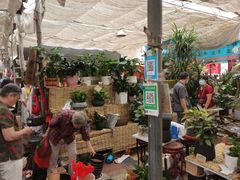 -秦美花卉(天朗·莱茵小城2期店)