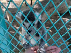 -水上乐园·欢乐世界