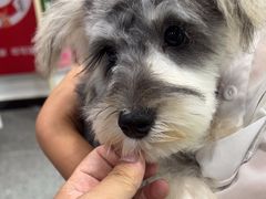 -宠物家(大兴旧宫店)