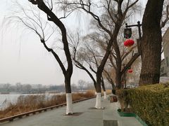 -后海公园
