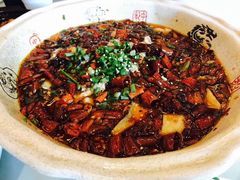 -陈麻婆豆腐总店