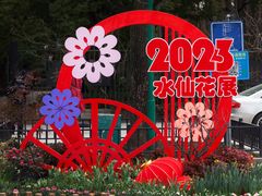 -上海共青森林公园