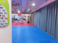 -陈中跆拳道(中关村馆)