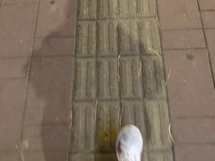 -鑫诚筋饼王(红旗小区店)