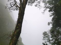 -七仙岭温泉国家森林公园