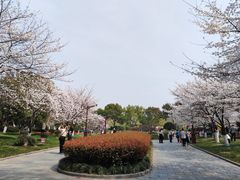 -堤角公园