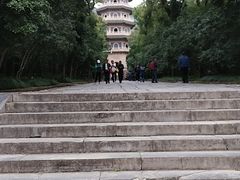 -灵谷景区