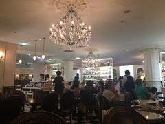 -Angelina(老佛爷店)