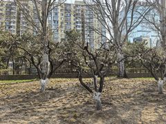 -元大都城垣遗址公园