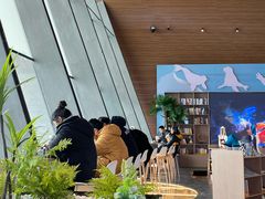 -抱抱地球咖啡馆(国家海洋博物馆店)