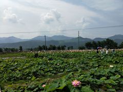 -徐记海鲜(梅溪新天地店)