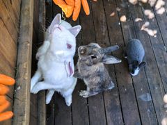 -HERRE·FARM 赫尔露营农场·团建聚会包场