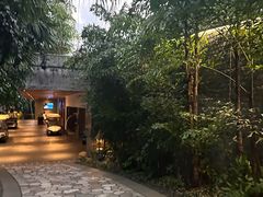 -日落吧·海景咖啡厅·餐酒吧·鸡尾酒·下午茶·乐队表演·浪漫夕阳·三亚文华东方酒店