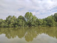 -大湾区中央湿地公园