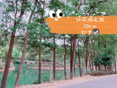 -红花湖景区