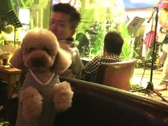 -音乐房子(鎏嘉码头店)