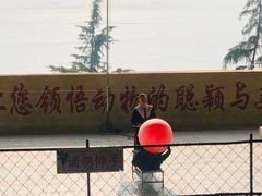 -东方熊牧场