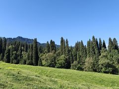 -新疆那拉提国家旅游度假区
