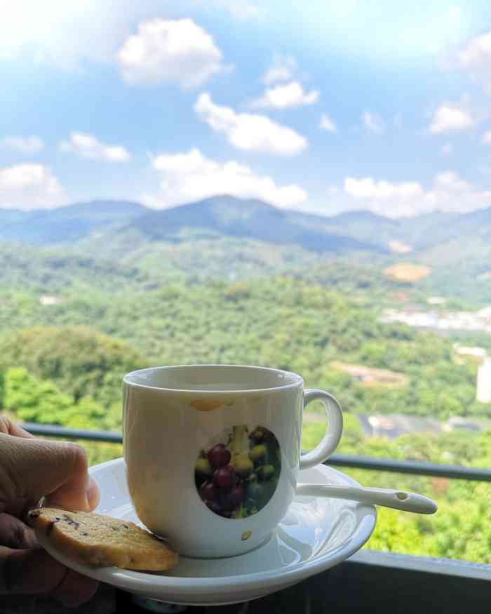 南坑咖啡观赏园-"和老朋友聚会,来到南坑咖啡园,春节期间人.