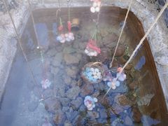 -天芳悦潭度假村温泉