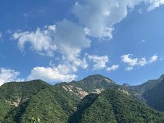 -关中道陕味艺术餐厅(西岳庙店)