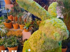 -PlantsEatery·植物食堂(REX春熙店)