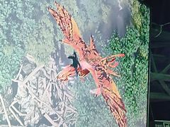 -华谊兄弟（长沙）电影小镇