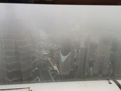 -上海柏悦酒店·世纪100牛排馆
