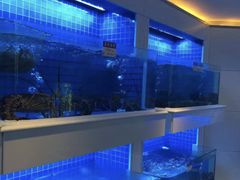 -金苑海鲜酒家(来魅力店)