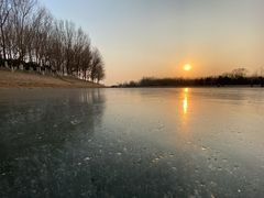 -大兴滨河森林公园