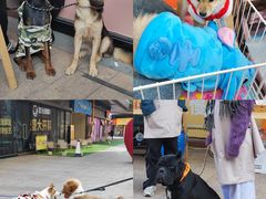 -佛山京华广场MALL