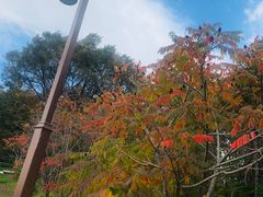 -长春市南湖公园