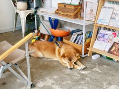 -隹木咖啡馆(宝龙广场店)