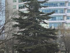 -红星前进面包牛奶公司(五道口购物中心店)