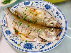 清蒸白丝鱼-状元楼(金溪路店)