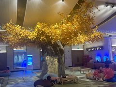 -青水瓦台汤泉(未央店)