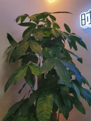 -时尚妈咪产后修复中心