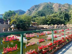 -京东石林峡风景区