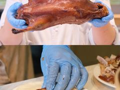 -青岛富力艾美酒店