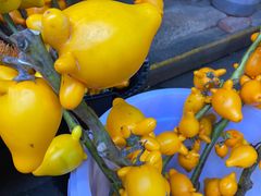 -循礼门鲜花花市(武汉循礼门店)