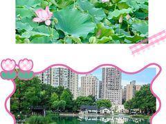 -和平公园