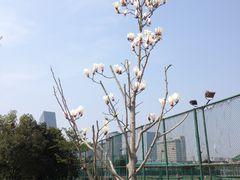 -浙江万里学院(钱湖校区)