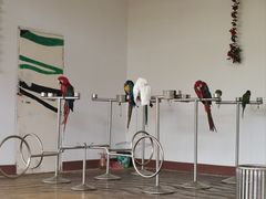 -南戴河国际娱乐中心