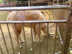 -国色天乡三期陆地乐园
