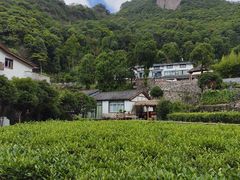 -雁荡山大龙湫景区