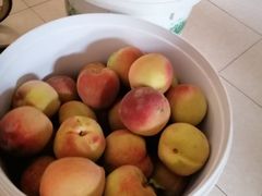 -昆明东站水果交易市场