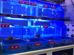 -小龍鳳·港式海鲜打边炉(沙湖路店)